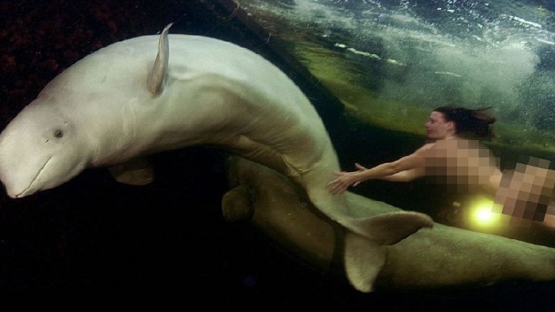 Scientist Braves Freezing Temperatures To Swim Naked With Beluga