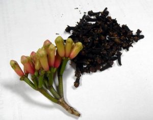 cloves
