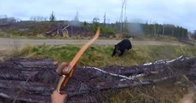 Hunter Gets Attacked By A Black Bear