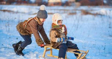 build sled