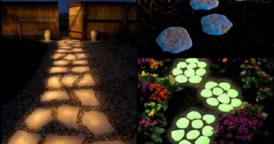 yard by making glow in the dark