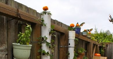 Gardening With PVC Pipes