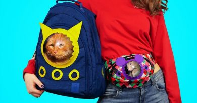 Pet Carrier Backpack