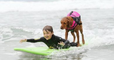Ricochet” A Surf Dog help Disable Peoples provides Inspiration Healing and Hope (VIDEO)
