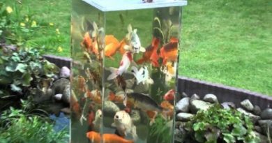 Fish Tower For Ponds