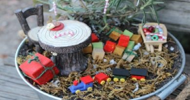 Christmas Fairy Garden