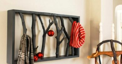 Diy Branch Shelf