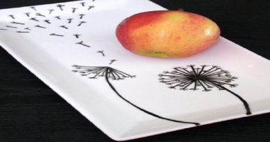 Diy Sharpies Plates Wall