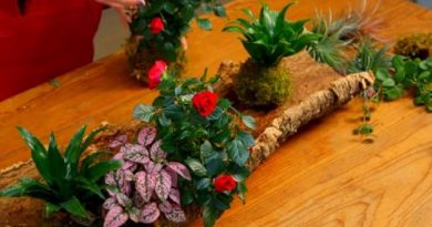 Make a Living Centerpiece That Turns Party Gifts