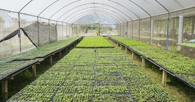 solar farm grows