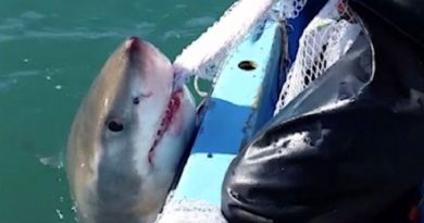 Fisherman Plays Game Tug War