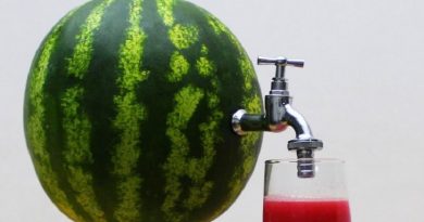 DIY Juice Dispenser