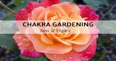 What Is Chakra Gardening