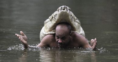 Who Swims With Crocodiles