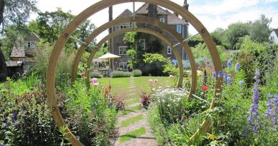 Popular Arbor