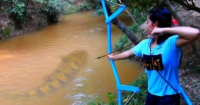 PVC Pipe Compound To Shoot Fish