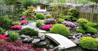 Creating A Japanese Garden