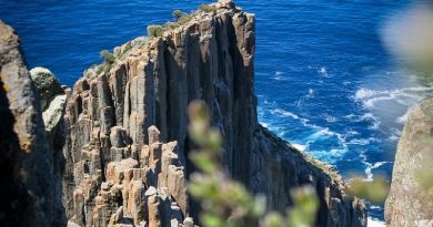 The Dolerite Columns