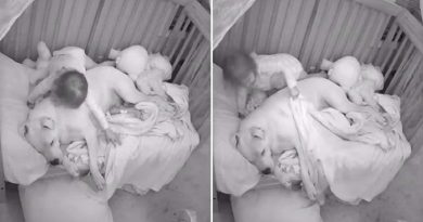 Baby Shows Gratitude To Pit Bull For Comforting Her During 7.0 Earthquake(VIDEO)