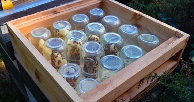Honey DIY Project