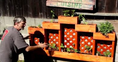 Easy DIY Herb Garden