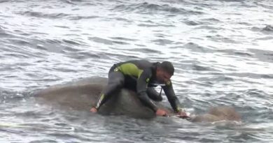 Elephant Emergency Rescue