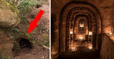 Rabbit Medieval Cave