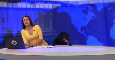 Dog Makes Surprise Appearance During Live News Broadcast