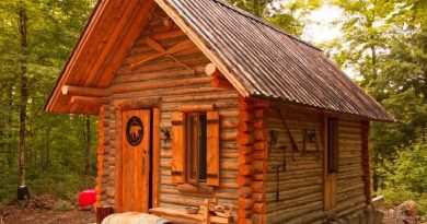 Cabin TIMELAPSE Built