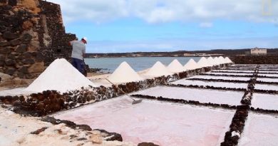 Harvested salt