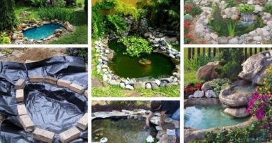 DIY Pond