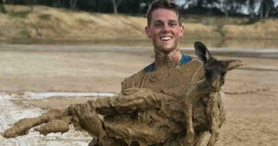 Teens Mount Rescue Operation For Helpless Kangaroo Stuck in Neck-Deep Mud (VIDEO)