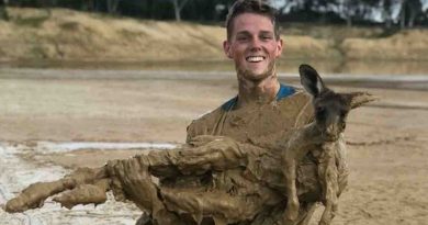 Kangaroo Stuck