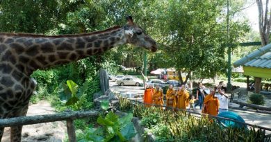 Chiang Mai Zoo