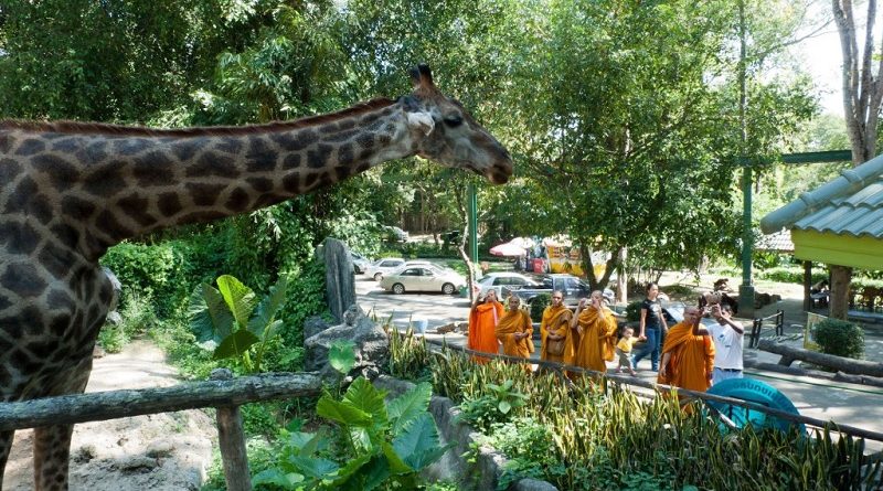 Chiang Mai Zoo