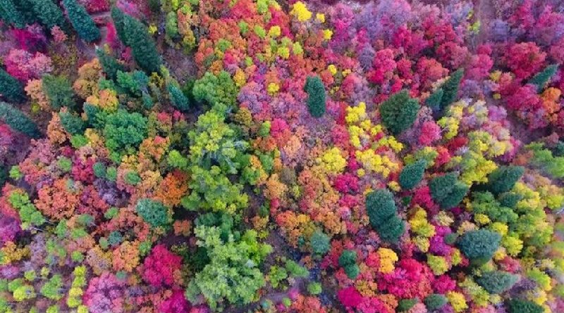 Vibrant Colors of Utah