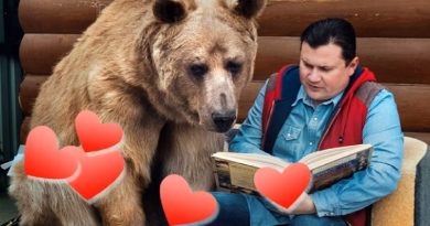 Russian Couple Keep Bear As A Pet For About 25 Years As They Do Not Fear Of Death (VIDEO)