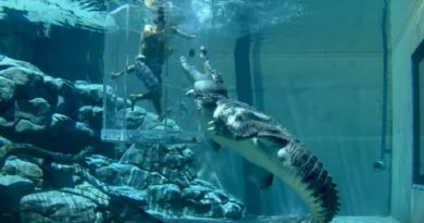 Mind Blowing Swimming Pools