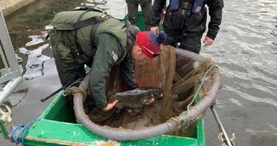 ‘Duck-eating’ Fish Removed From Lakeside Shopping Centre Lake (VIDEO)