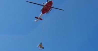 Helicopter rescues cow