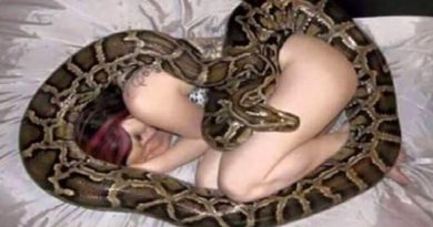 Woman Who Sleeps With Snake Every Night Gets A Reality Check From Vet