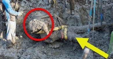 A Farmer Spotted Something In The Dirt. So He Dug. What He Found? WOW! (VIDEO)