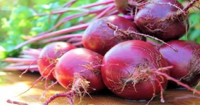 Delicious Beets