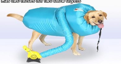Dryer For Dogs