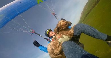 Paragliding Dog