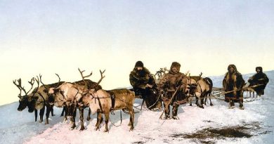 Reindeer Herding