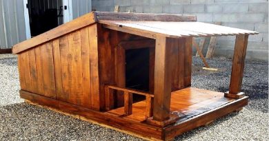 Pallet Dog House
