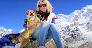 The First Dog Who Win MOUNT EVEREST – Homeless Doggy Rupee Left A Trail Of Their Paws In History (VIDEO)