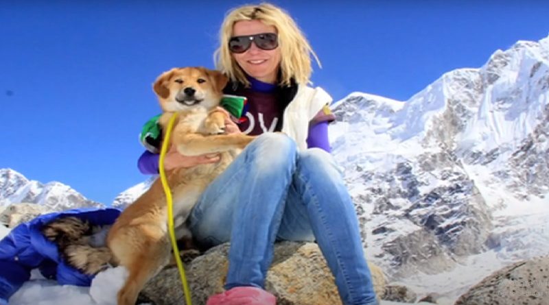 The First Dog Who Win MOUNT EVEREST